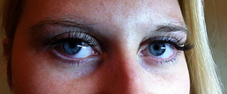 click for enlarge 1920 X 793 472.6 Kb picture