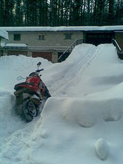 click for enlarge 1200 X 1600 249.0 Kb picture