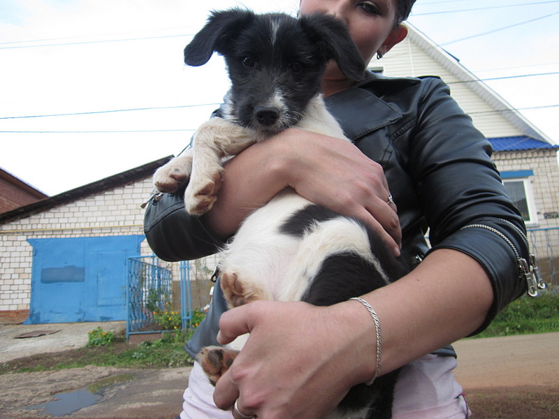 click for enlarge 1920 X 1440 409.1 Kb picture