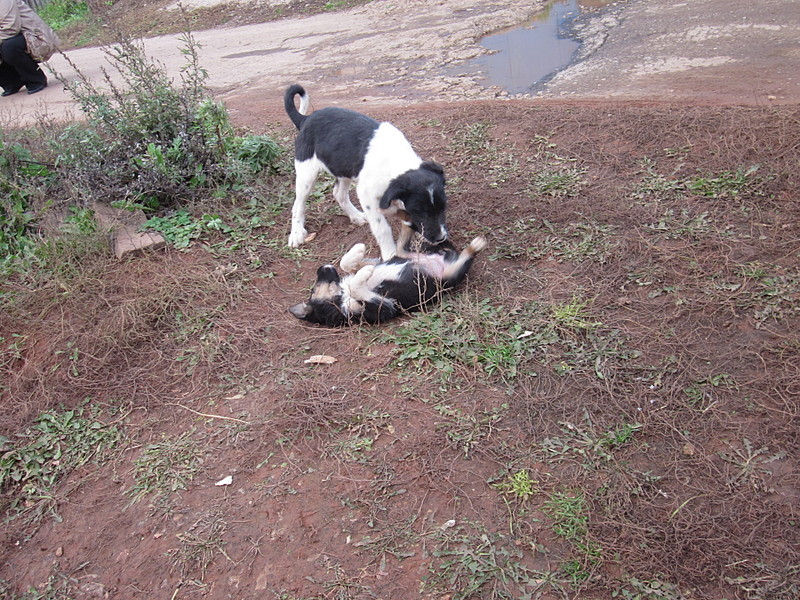 click for enlarge 1920 X 1440 971.7 Kb picture