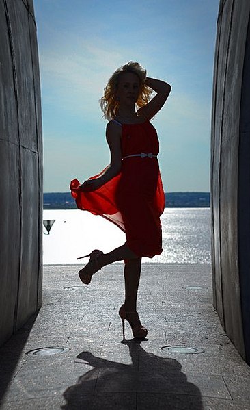click for enlarge 369 X 604 44.3 Kb picture