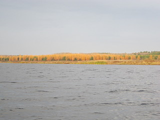 click for enlarge 1920 X 1440 369.4 Kb picture