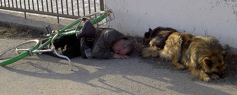 click for enlarge 1723 X 694 467.4 Kb picture