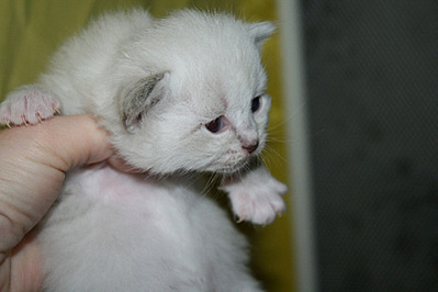click for enlarge 800 X 533 89.8 Kb picture