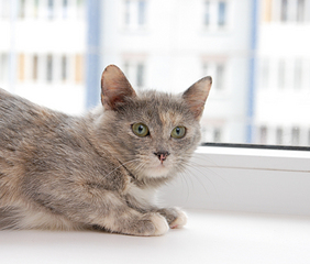 click for enlarge 1920 X 1633 177.8 Kb picture