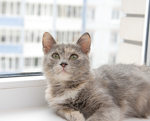 click for enlarge 1920 X 1548 182.7 Kb picture