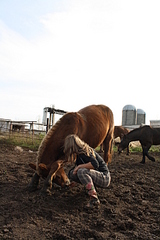 click for enlarge 1920 X 2880 395.0 Kb picture