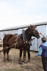 click for enlarge 1920 X 2880 385.1 Kb picture