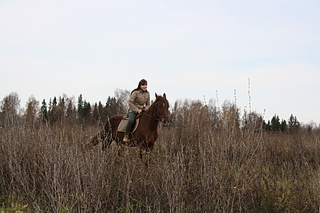 click for enlarge 1920 X 1280 214.0 Kb picture