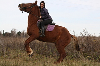 click for enlarge 1920 X 1280 1008.4 Kb picture