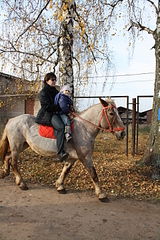 click for enlarge 1920 X 2880 836.1 Kb picture