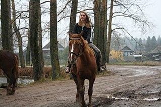 click for enlarge 1280 X 853 251.5 Kb picture