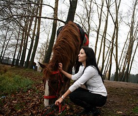 click for enlarge 1213 X 1024 316.8 Kb picture