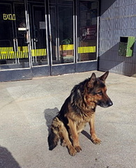 click for enlarge 480 X 589  86.7 Kb picture