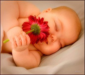 click for enlarge 800 X 699  52.0 Kb picture
