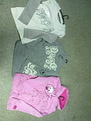 click for enlarge 1536 X 2048 640.4 Kb picture