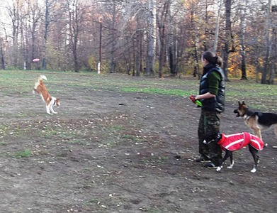 click for enlarge 1920 X 1472 675.5 Kb picture