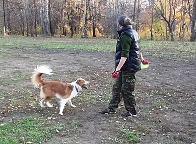 click for enlarge 1920 X 1420 422.8 Kb picture