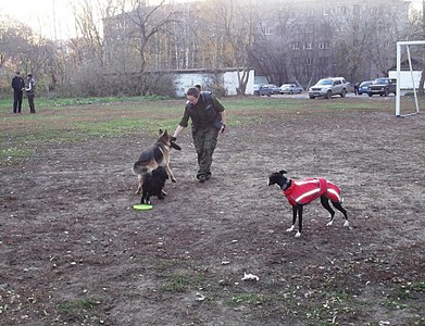 click for enlarge 1920 X 1471 751.1 Kb picture