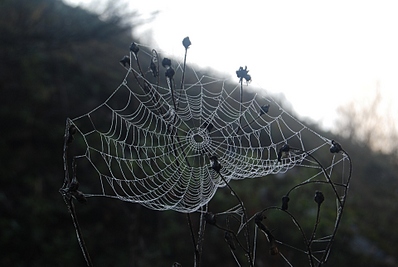 click for enlarge 1920 X 1285 701.4 Kb picture