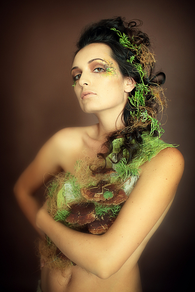 click for enlarge 1920 X 2879 344.9 Kb picture
