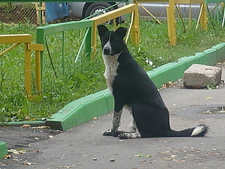 click for enlarge 400 X 300 92.5 Kb picture