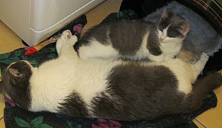 click for enlarge 640 X 369 63.7 Kb picture