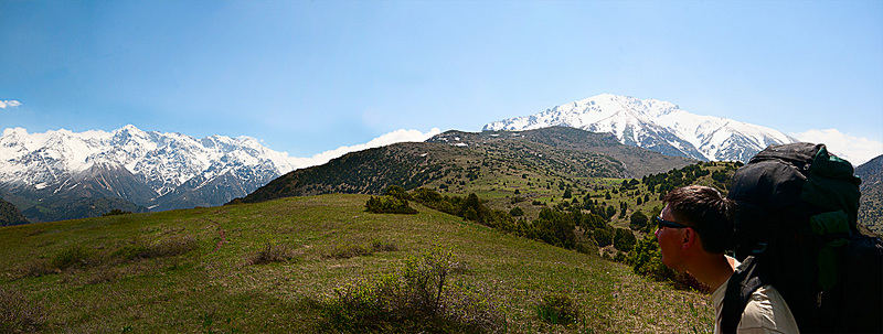 click for enlarge 1800 X 682 519.0 Kb picture