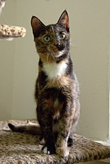 click for enlarge 687 X 1024 117.4 Kb picture