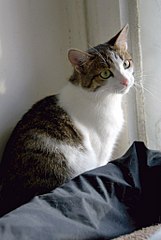 click for enlarge 687 X 1024 95.3 Kb picture