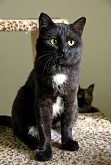 click for enlarge 687 X 1024 124.2 Kb picture