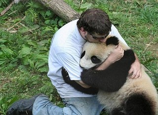 click for enlarge 604 X 438  83.3 Kb picture