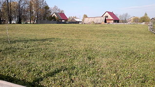click for enlarge 1920 X 1077 818.7 Kb picture