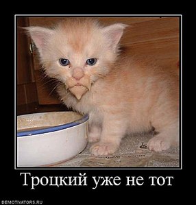 click for enlarge 635 X 665  47.9 Kb picture