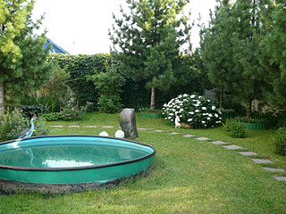 click for enlarge 800 X 600 220.9 Kb picture