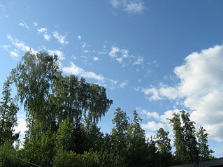 click for enlarge 807 X 605 109.7 Kb picture