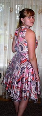 click for enlarge 313 X 870 102.0 Kb picture