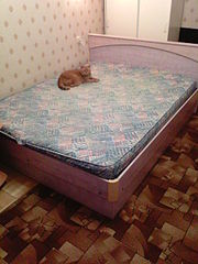 click for enlarge 960 X 1280 227.6 Kb picture