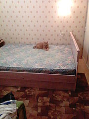 click for enlarge 960 X 1280 203.7 Kb picture