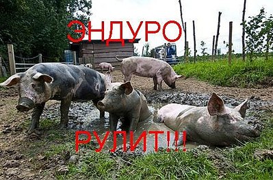 click for enlarge 475 X 313 53.7 Kb picture