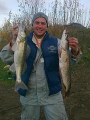 click for enlarge 960 X 1280 422.8 Kb picture