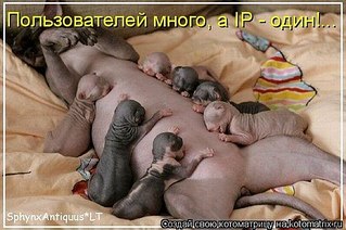 click for enlarge 604 X 402  62.4 Kb picture