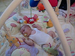 click for enlarge 640 X 480 112.3 Kb picture
