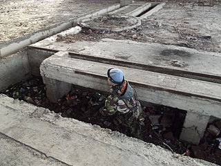 click for enlarge 800 X 600 113.3 Kb picture