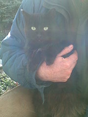 click for enlarge 960 X 1280 146.2 Kb picture