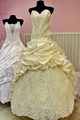 click for enlarge 512 X 768 118.2 Kb picture