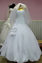 click for enlarge 512 X 768 73.6 Kb picture