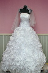 click for enlarge 511 X 768 92.6 Kb picture