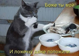 click for enlarge 600 X 431  37.9 Kb picture