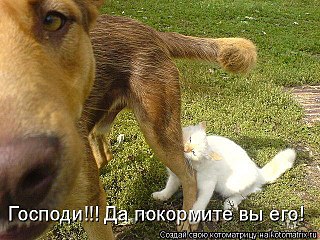 click for enlarge 640 X 480 103.1 Kb picture
